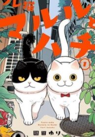 Cat Partners: Maruru And Hachi