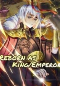 Reborn As King/Emperor